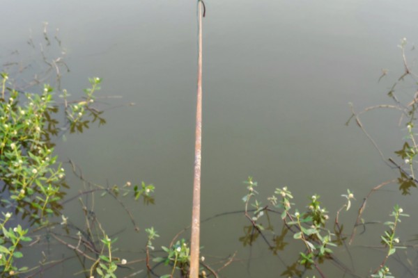 如何野钓小龙虾，把饵料绑在钓线上面再抛到钓点