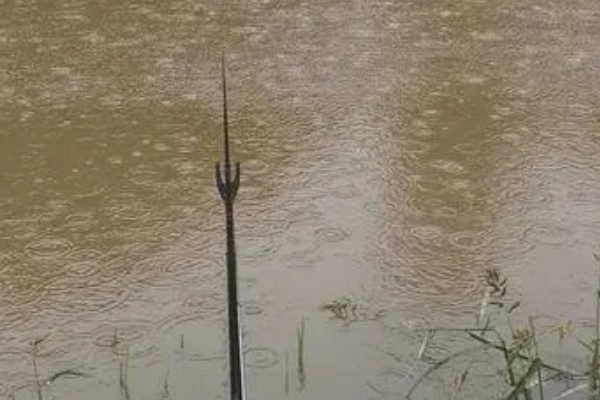 如何野钓小龙虾，把饵料绑在钓线上面再抛到钓点