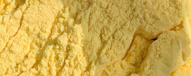 玉米粉的简介,类似于小麦制作的面粉