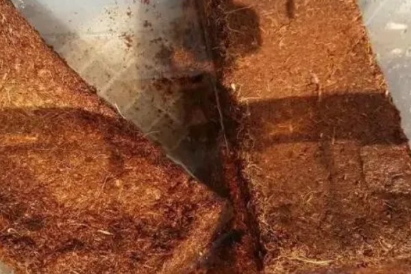 椰砖是哪种物质,是以椰粉、椰壳为原材料的压缩块