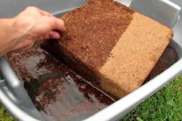 椰砖是哪种物质,是以椰粉、椰壳为原材料的压缩块