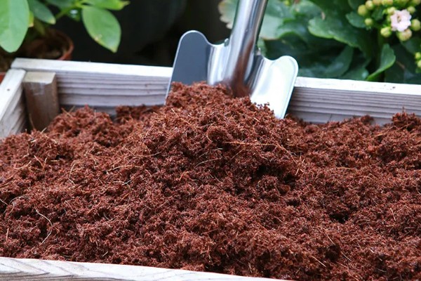 椰砖是哪种物质,是以椰粉、椰壳为原材料的压缩块