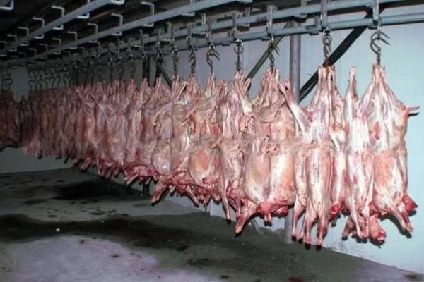 羊出肉率的计算方法,出肉率=胴体/屠宰前活重×100%