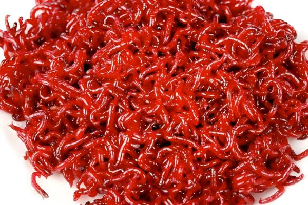 冬季钓鱼打窝用什么窝料,推荐酒米、五谷杂粮等