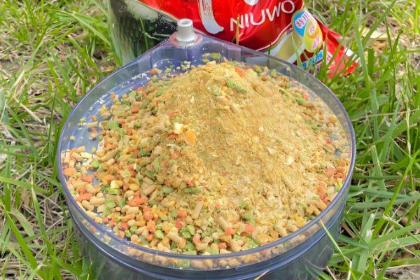 冬季钓鱼打窝用什么窝料,推荐酒米、五谷杂粮等