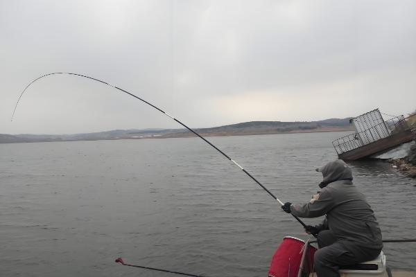 冬季钓鱼打窝用什么窝料,推荐酒米、五谷杂粮等