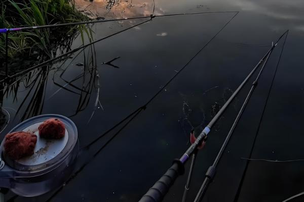 冬季钓鱼打窝用什么窝料,推荐酒米、五谷杂粮等