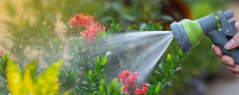 阿司匹林多久浇花一次，半个月使用一次最佳