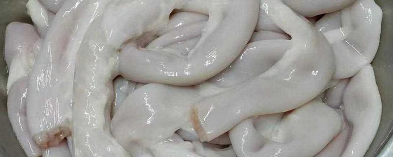 猪下货是什么，一般指猪的内脏