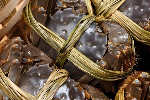 螃蟹有哪些常见品种，一共有600多种