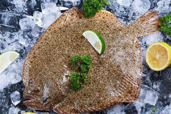 比目鱼的产地,主要产于黄海北部和渤海