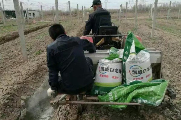 最实用的种菜肥料，根据蔬菜品种来决定