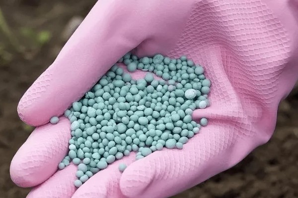 最实用的种菜肥料，根据蔬菜品种来决定