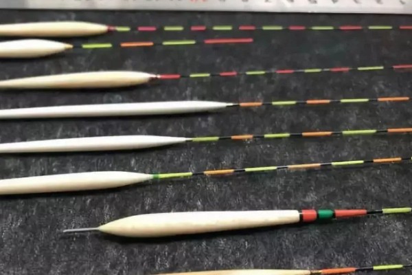 晚上钓鲤鱼钓深还是钓浅，跟水温高低有很大的关系