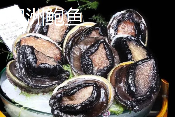 禾麻鲍的产地，产于日本青森县
