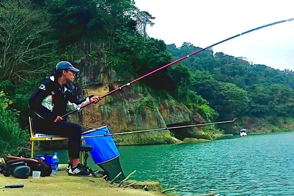 野河钓青鱼如何快速上钩,重点是提前打窝