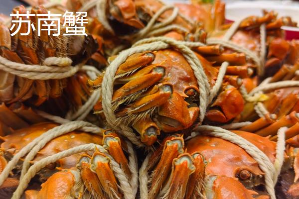 苏北蟹和苏南蟹的区别,口感和价格均不同