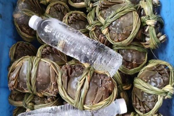 苏北蟹和苏南蟹的区别,口感和价格均不同