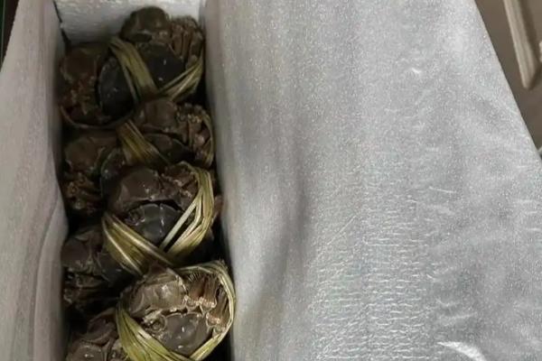 苏北蟹和苏南蟹的区别,口感和价格均不同