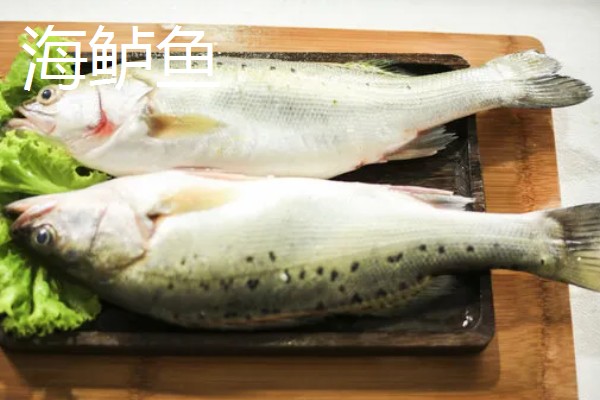鲈鱼是不是淡水鱼，分为海鲈鱼和淡水鲈鱼