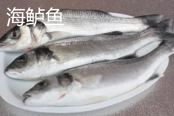 鲈鱼是不是淡水鱼，分为海鲈鱼和淡水鲈鱼