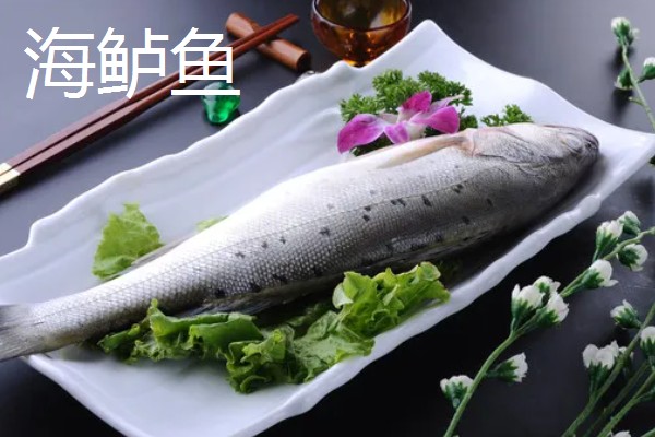 鲈鱼是不是淡水鱼，分为海鲈鱼和淡水鲈鱼