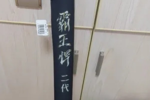 霸王悍的简介,属于钓鱼王旗下的鱼竿