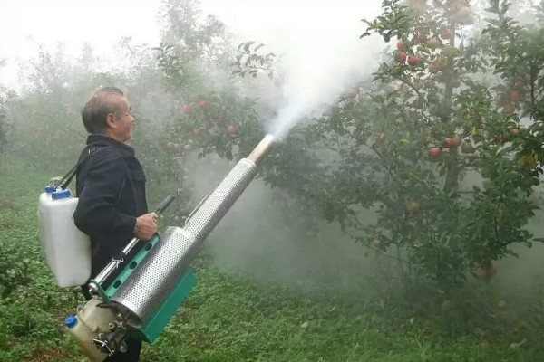灭幼脲的作用是什么,主要表现为胃毒