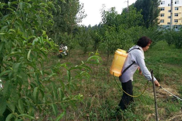 灭幼脲的作用是什么,主要表现为胃毒