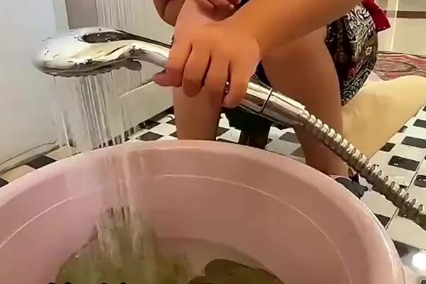 怎么养宠物牛蛙，白天把温度保持在25-32℃左右
