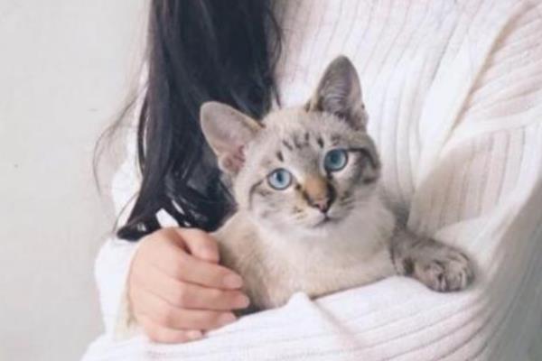什么时候抱猫咪让它舒服，主动粘你的时候抱合适