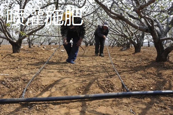 果树的追肥方法，土层撒肥被广泛使用