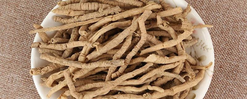 远志如何采收加工，在7-8月份及时收获