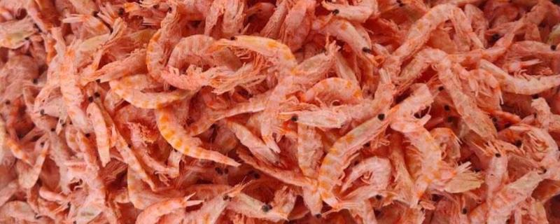 磷虾干和干虾皮有什么区别，外观、种类、口感都不同