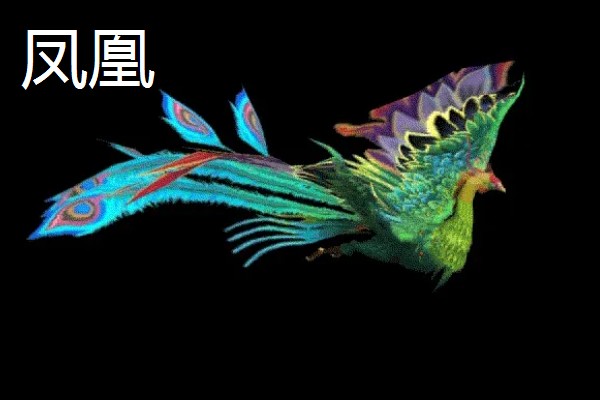 孔雀与凤凰的区别,孔雀是现实中的鸟类而凤凰是传说