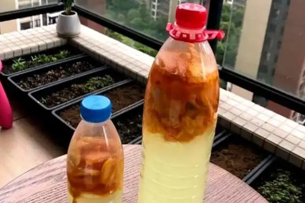 铁树的简介,是苏铁科、苏铁属常绿乔木