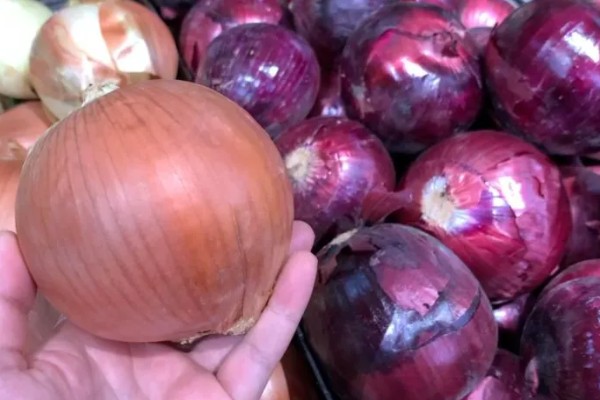 洋葱的挑选方法,可从形状、外皮干燥程度等方面做选择
