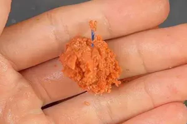 1月份钓鱼时间，以上午10点至下午18点为宜
