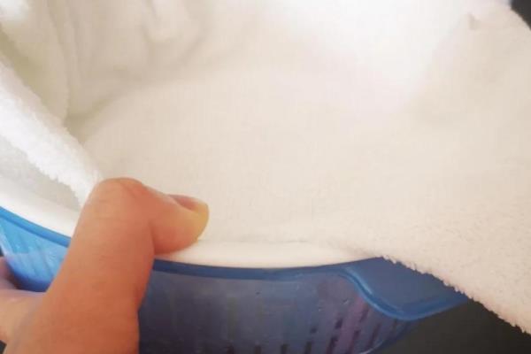 怎么发豆芽,水温尽可能控制在二十五度左右