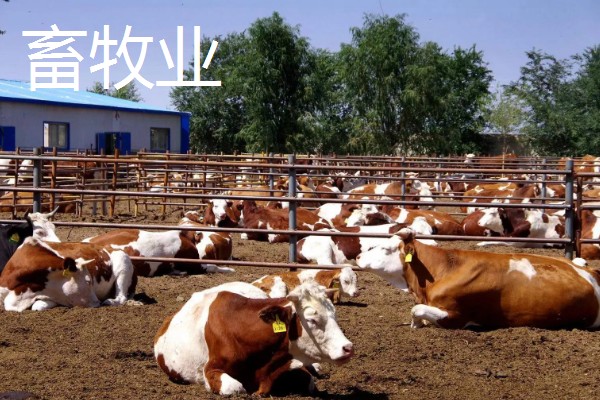 原始农业介绍，耕作方式原始粗放