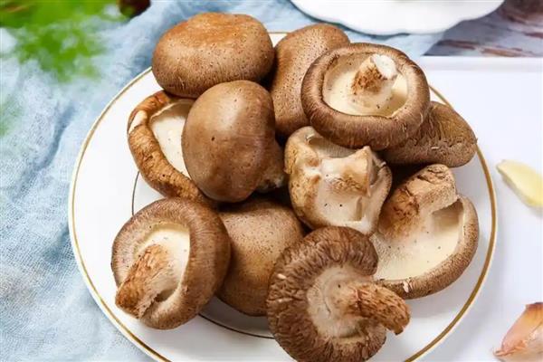 云南有什么食用菌，常见松茸、牛肝菌等品种