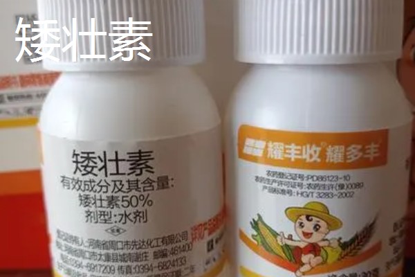 如何正确使用生长调节剂,不同种类的使用方法不同