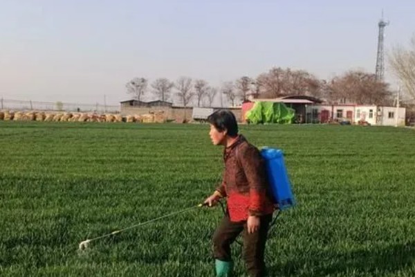如何正确使用生长调节剂,不同种类的使用方法不同
