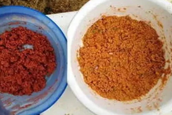 黑坑鲤鱼爱吃什么味型的饵料，根据鱼的体型而定