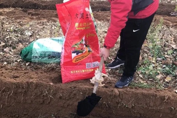 种百香果使用哪些肥料,开花坐果后以磷钾肥为主