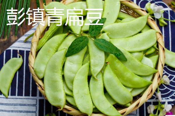 扁豆的简介,属于豆科、扁豆属藤本植物