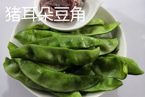扁豆的简介,属于豆科、扁豆属藤本植物