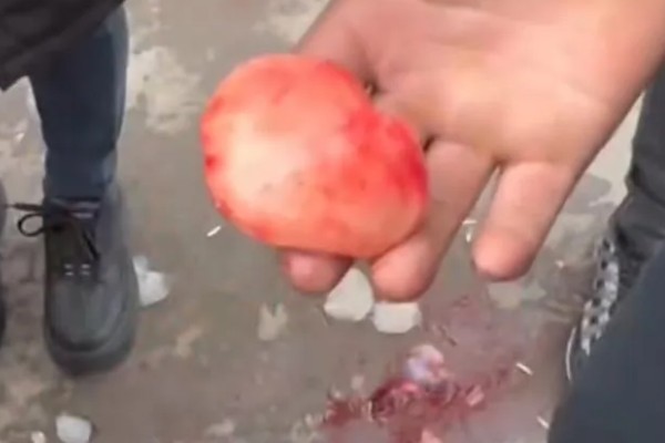 青鱼石的作用,主要用来观赏