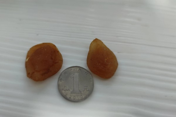 青鱼石的作用,主要用来观赏