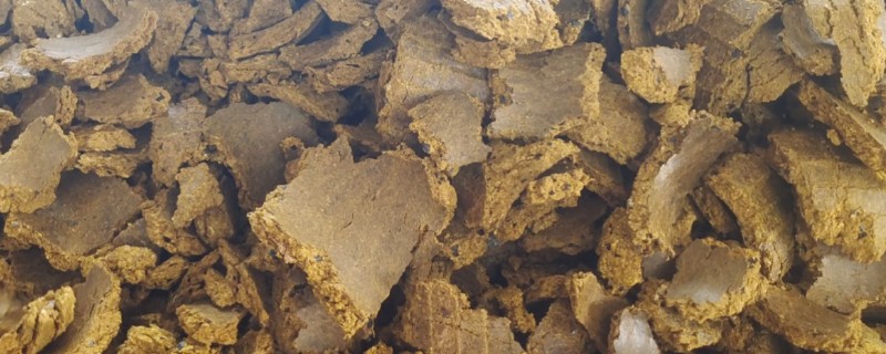 怎么把油饼做成花肥，装入瓶中注入清水然后密封发酵